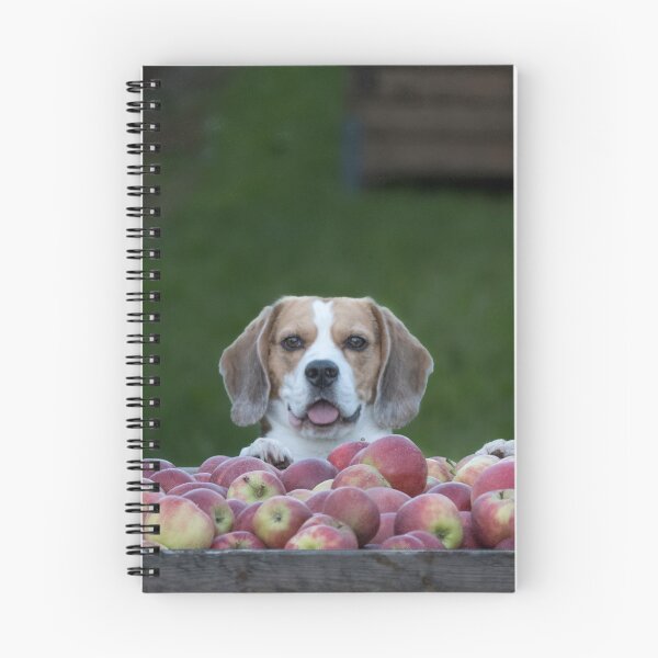 Item preview, Beagle Dog Guarding Apples designed and sold by VanGaldo.