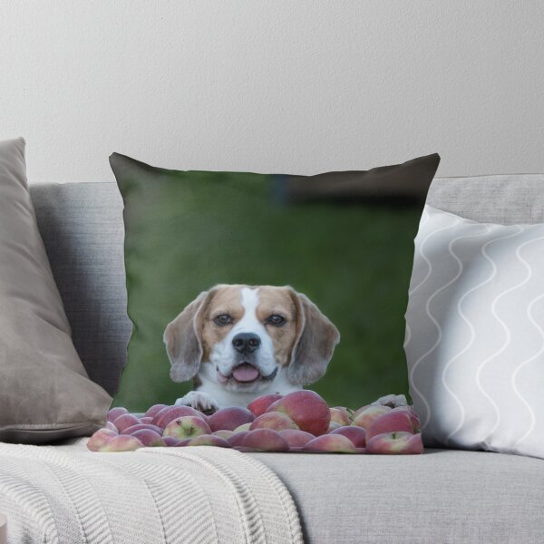 Item preview, Beagle Dog Guarding Apples designed and sold by VanGaldo.