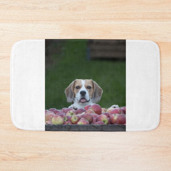 Item preview, Beagle Dog Guarding Apples designed and sold by VanGaldo.