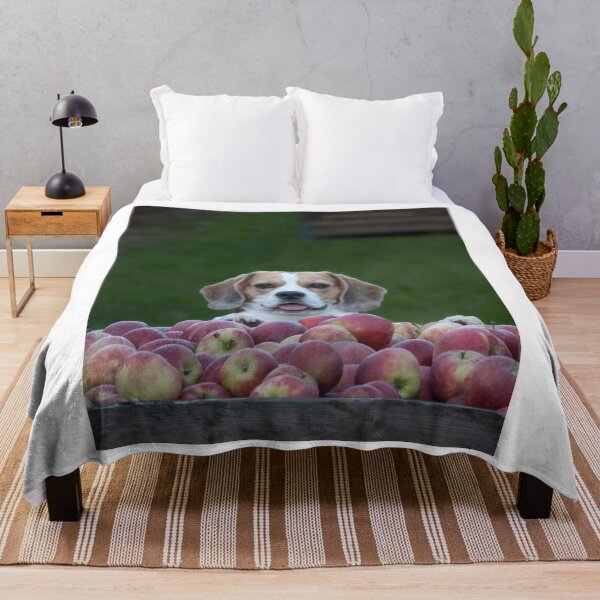 Item preview, Beagle Dog Guarding Apples designed and sold by VanGaldo.