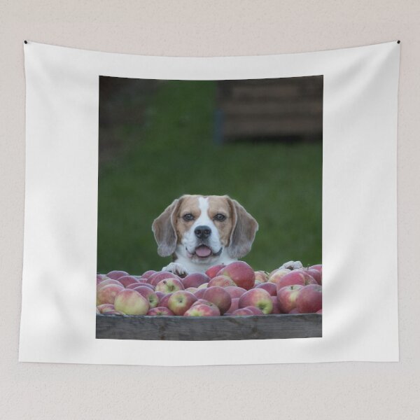 Item preview, Beagle Dog Guarding Apples designed and sold by VanGaldo.