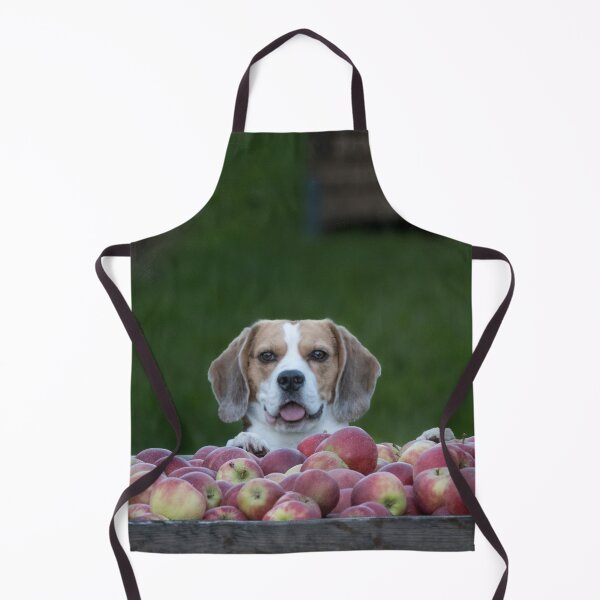 Item preview, Beagle Dog Guarding Apples designed and sold by VanGaldo.