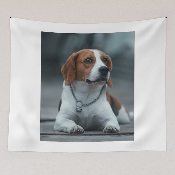 Item preview, Cool Beagle Dog Lying designed and sold by VanGaldo.