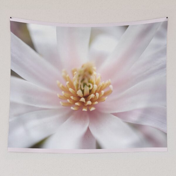 Item preview, Magnolia Blossom designed and sold by Alisonchambers2.