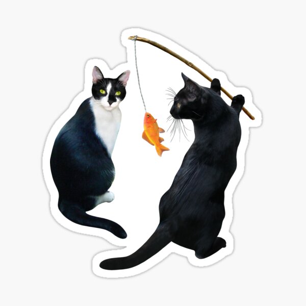 Fishing Cats Sticker