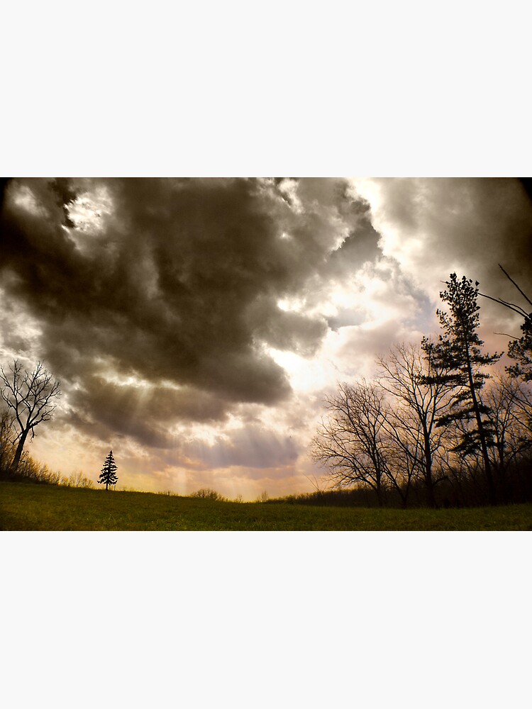 Thumbnail 3 of 3, Poster, Big Sky, Little Tree designed and sold by believer9.