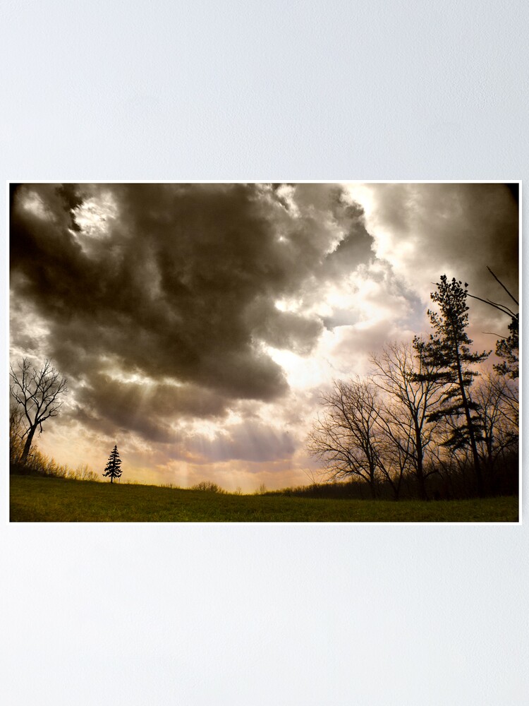 Thumbnail 1 of 3, Poster, Big Sky, Little Tree designed and sold by believer9.