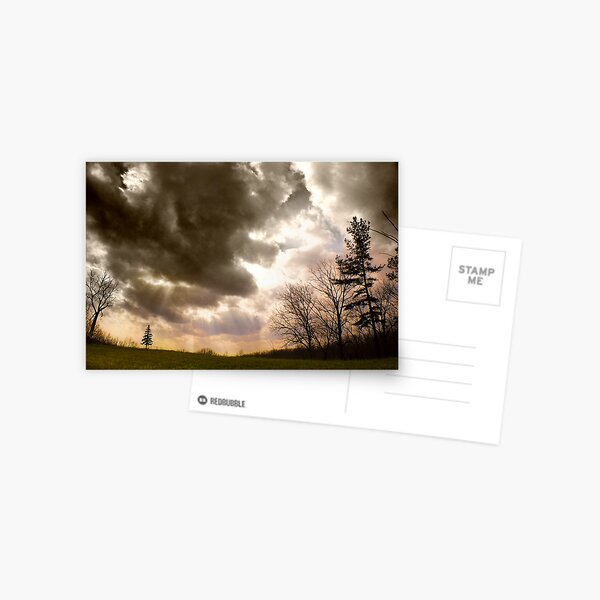 Big Sky, Little Tree Postcard