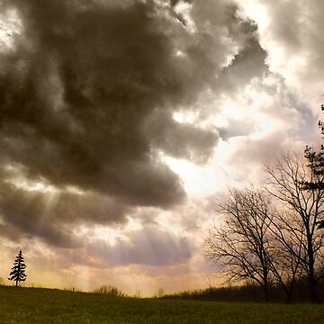 Artwork thumbnail, Big Sky, Little Tree by believer9