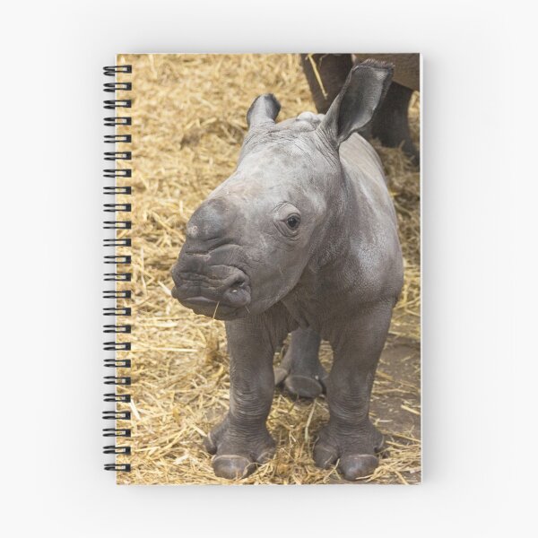 Item preview, Just A Little Rhino In A Big World designed and sold by HollieGPhotos.