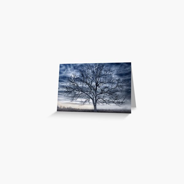 Gentle Sunrise Greeting Card