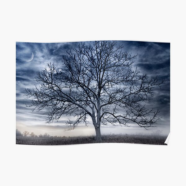 Gentle Sunrise Poster