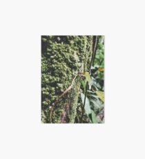 vegetation Art Board
