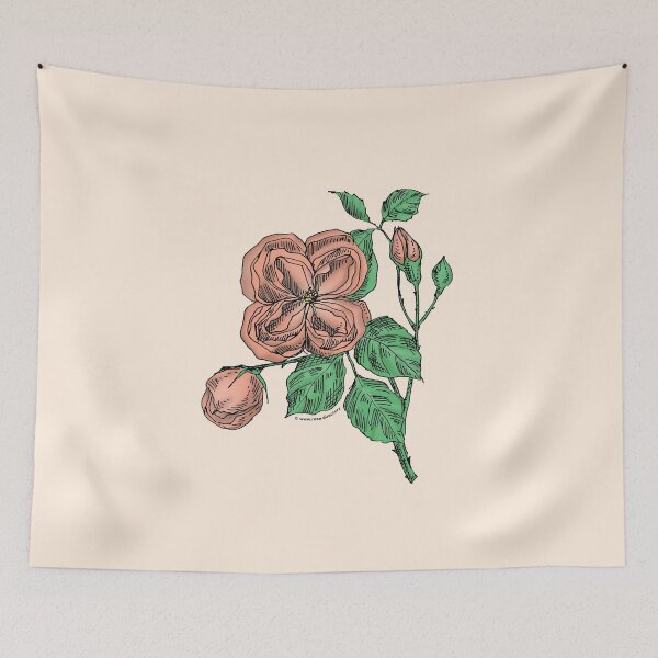 Item preview, Apricot Quartered Rose Bloom Double 16-25 Petals In 3+ Rows designed and sold by Rachael Taylor.