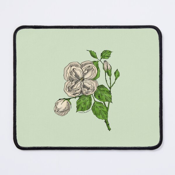 Item preview, Cream Quartered Rose Bloom Double 16-25 Petals In 3+ Rows designed and sold by Rachael Taylor.