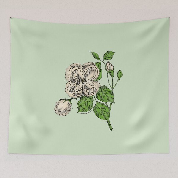 Item preview, Cream Quartered Rose Bloom Double 16-25 Petals In 3+ Rows designed and sold by Rachael Taylor.