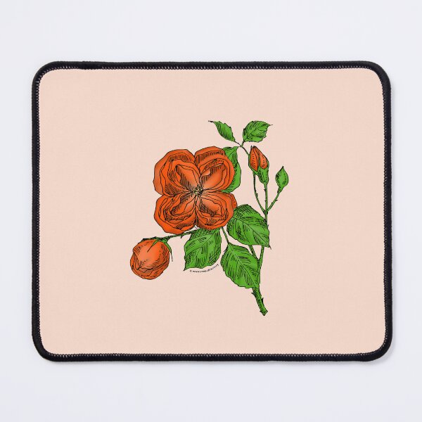 Item preview, Orange Quartered Rose Bloom Double 16-25 Petals In 3+ Rows designed and sold by Rachael Taylor.