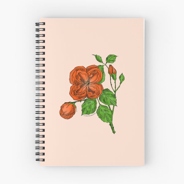 Item preview, Orange Quartered Rose Bloom Double 16-25 Petals In 3+ Rows designed and sold by Rachael Taylor.
