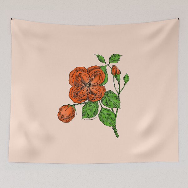 Item preview, Orange Quartered Rose Bloom Double 16-25 Petals In 3+ Rows designed and sold by Rachael Taylor.