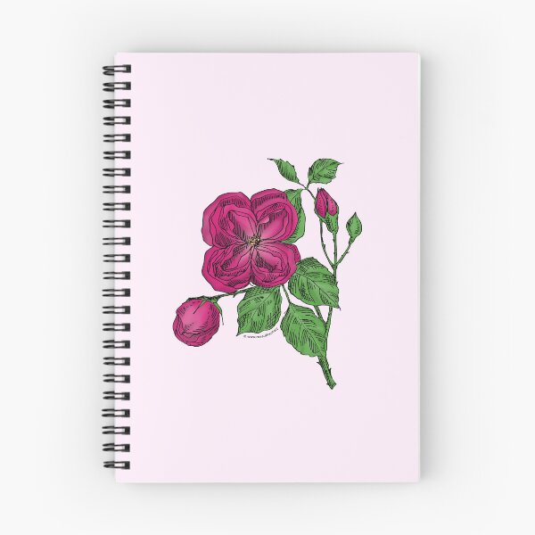 Item preview, Deep Pink Quartered Rose Bloom Double 16-25 Petals In 3+ Rows designed and sold by Rachael Taylor.