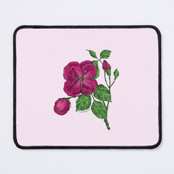 Item preview, Deep Pink Quartered Rose Bloom Double 16-25 Petals In 3+ Rows designed and sold by Rachael Taylor.