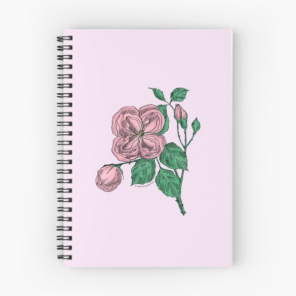 Item preview, Light Pink Quartered Rose Bloom Double 16-25 Petals In 3+ Rows designed and sold by Rachael Taylor.