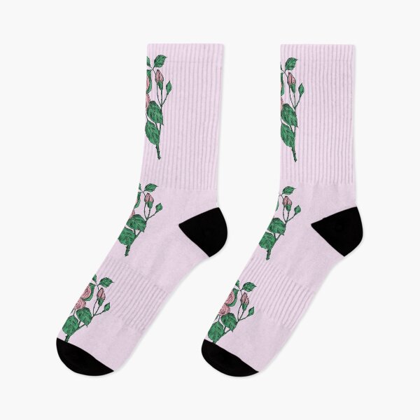 Item preview, Light Pink Quartered Rose Bloom Double 16-25 Petals In 3+ Rows designed and sold by Rachael Taylor.