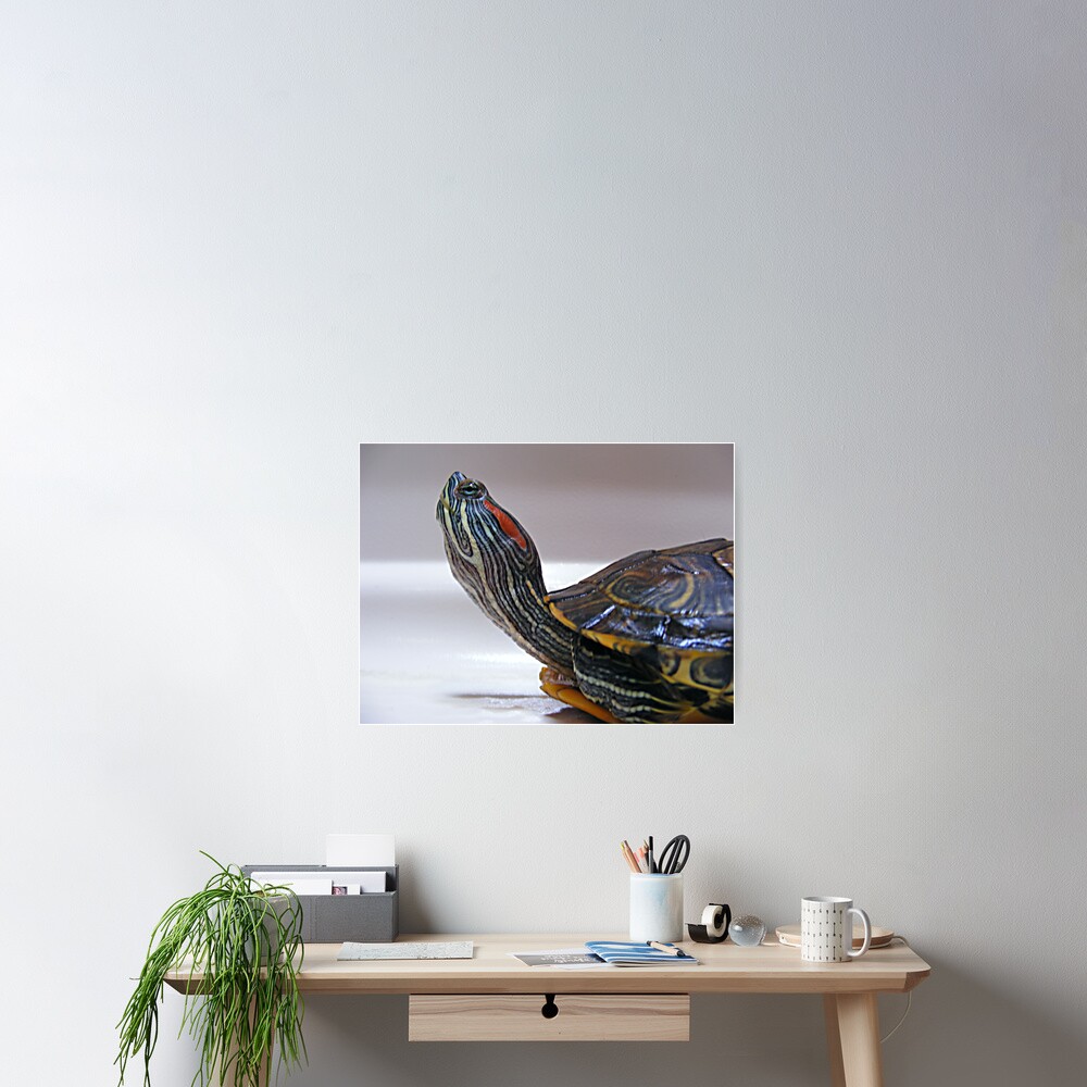 Item preview, Poster designed and sold by believer9.