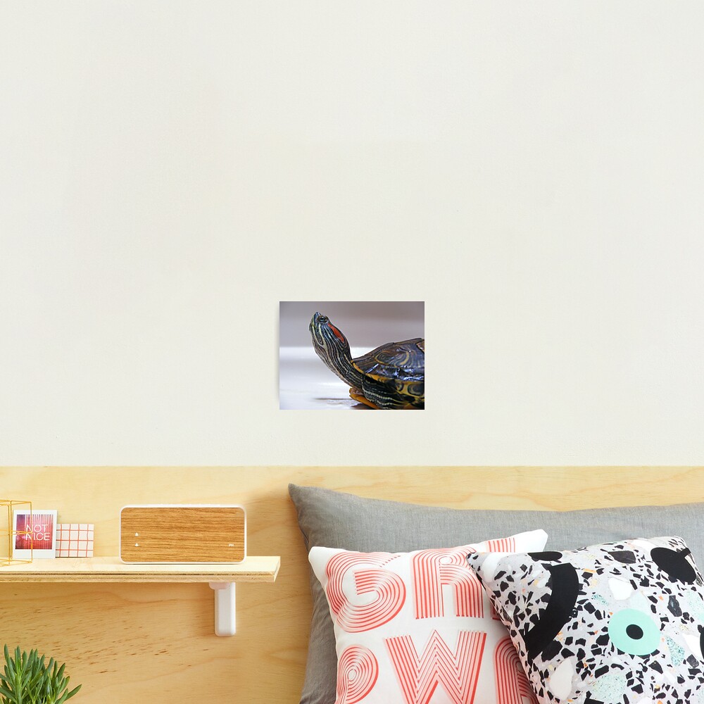 Item preview, Photographic Print designed and sold by believer9.