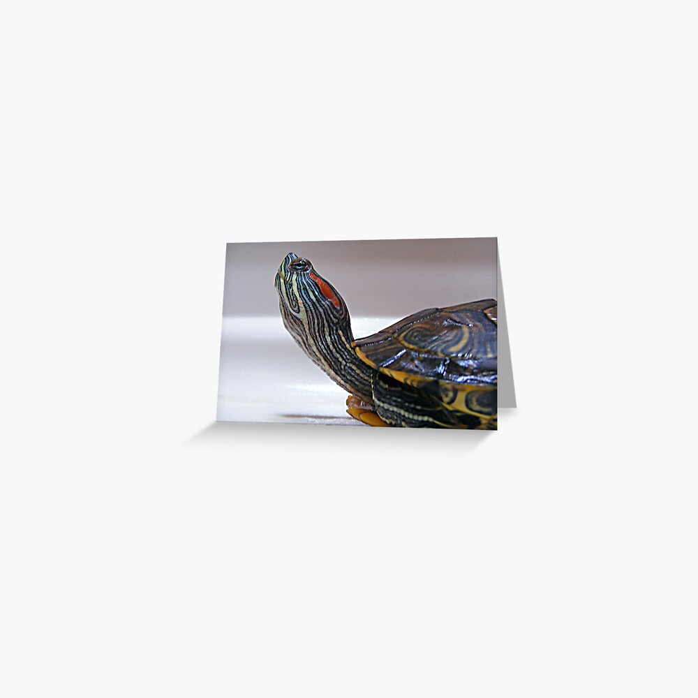 Item preview, Greeting Card designed and sold by believer9.