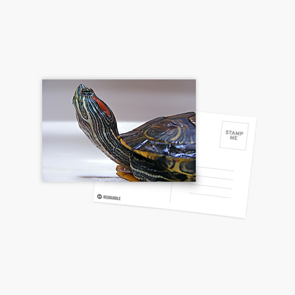 Item preview, Postcard designed and sold by believer9.