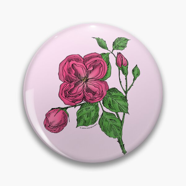 Item preview, Mid Pink Quartered Rose Bloom Double 16-25 Petals In 3+ Rows designed and sold by Rachael Taylor.
