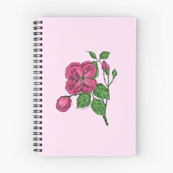 Item preview, Mid Pink Quartered Rose Bloom Double 16-25 Petals In 3+ Rows designed and sold by Rachael Taylor.