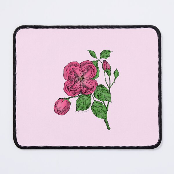 Item preview, Mid Pink Quartered Rose Bloom Double 16-25 Petals In 3+ Rows designed and sold by Rachael Taylor.