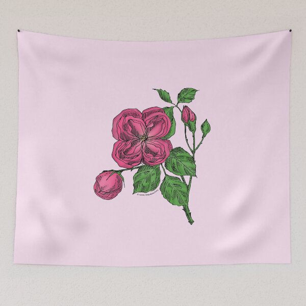 Item preview, Mid Pink Quartered Rose Bloom Double 16-25 Petals In 3+ Rows designed and sold by Rachael Taylor.