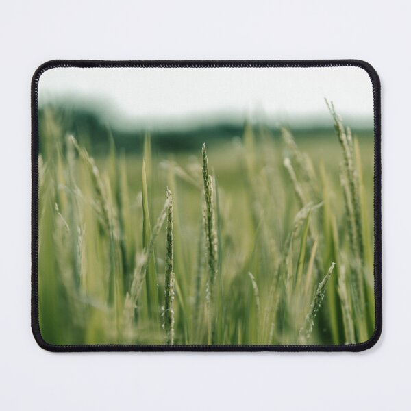 Item preview, Oat field in Bali Indonesia designed and sold by MaikKleinert.