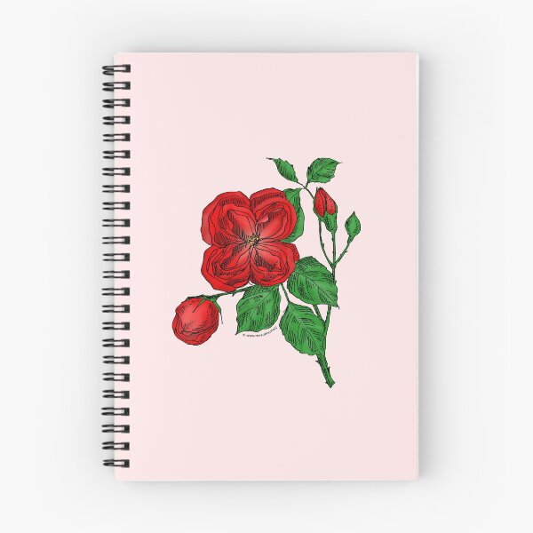 Item preview, Bright Red Quartered Rose Bloom Double 16-25 Petals In 3+ Rows designed and sold by Rachael Taylor.