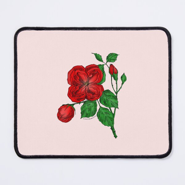 Item preview, Bright Red Quartered Rose Bloom Double 16-25 Petals In 3+ Rows designed and sold by Rachael Taylor.
