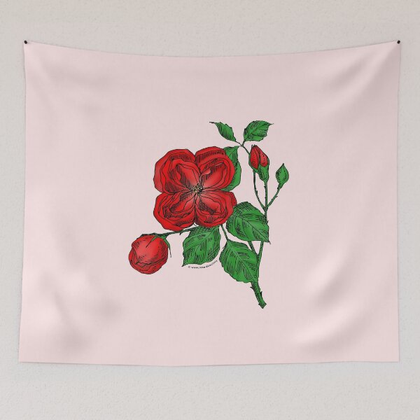 Item preview, Bright Red Quartered Rose Bloom Double 16-25 Petals In 3+ Rows designed and sold by Rachael Taylor.