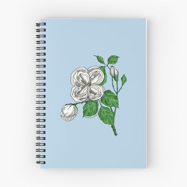 Item preview, White Quartered Rose Bloom Double 16-25 Petals In 3+ Rows designed and sold by Rachael Taylor.