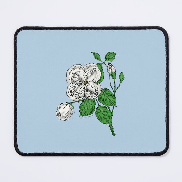 Item preview, White Quartered Rose Bloom Double 16-25 Petals In 3+ Rows designed and sold by Rachael Taylor.