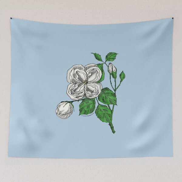 Item preview, White Quartered Rose Bloom Double 16-25 Petals In 3+ Rows designed and sold by Rachael Taylor.