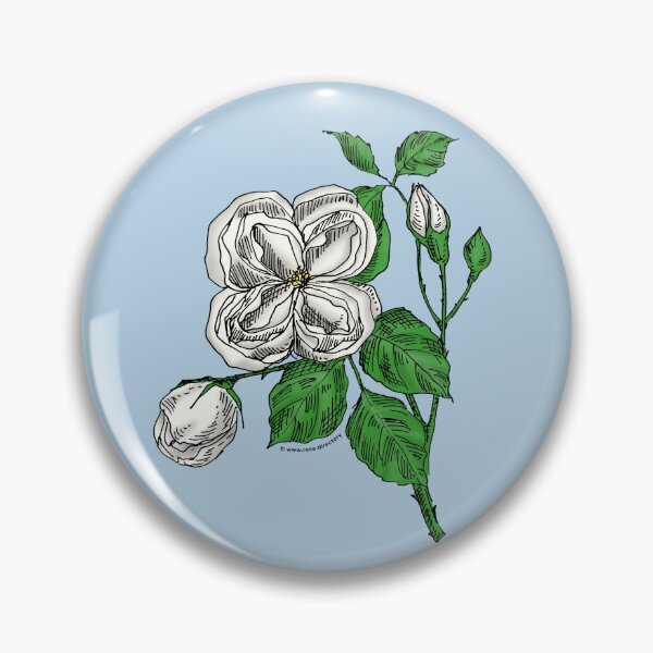 Item preview, White Quartered Rose Bloom Double 16-25 Petals In 3+ Rows designed and sold by Rachael Taylor.