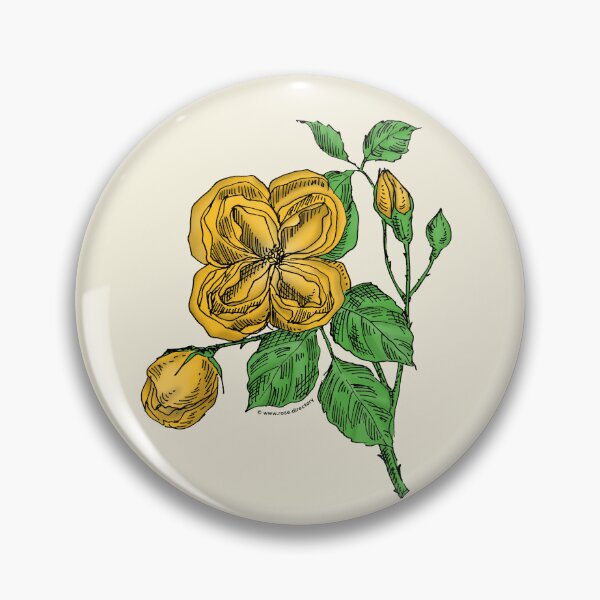 Item preview, Yellow Quartered Rose Bloom Double 16-25 Petals In 3+ Rows designed and sold by Rachael Taylor.