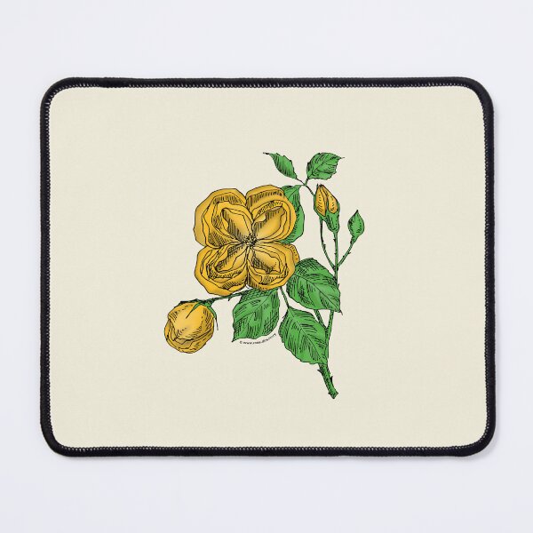 Item preview, Yellow Quartered Rose Bloom Double 16-25 Petals In 3+ Rows designed and sold by Rachael Taylor.