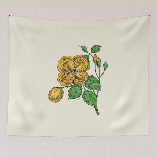 Item preview, Yellow Quartered Rose Bloom Double 16-25 Petals In 3+ Rows designed and sold by Rachael Taylor.