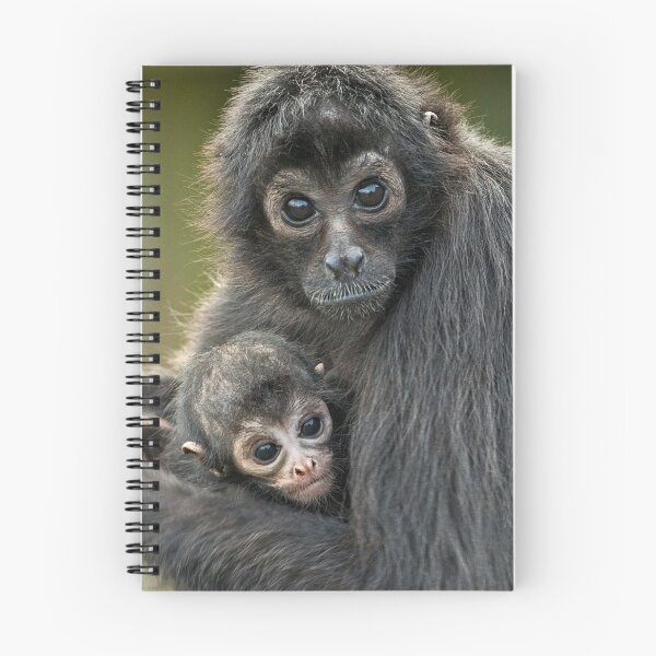 Item preview, Safe In Mothers Arms designed and sold by HollieGPhotos.