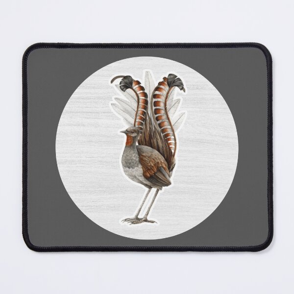Item preview, Lyrebird Watercolor Drawing designed and sold by LivingColorful.