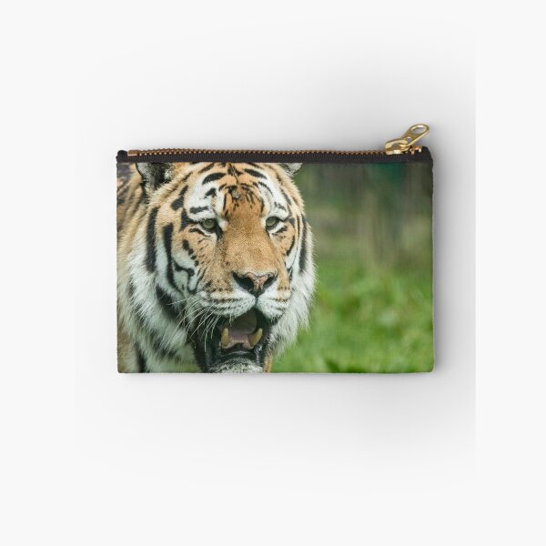 Item preview, Stalking Stripes designed and sold by HollieGPhotos.