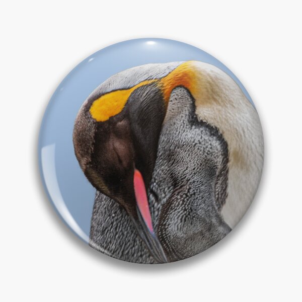Item preview, Sleeping King Penguin designed and sold by Dalyndigital Photography.